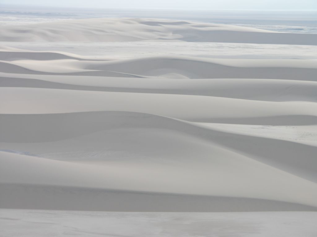 namib desert